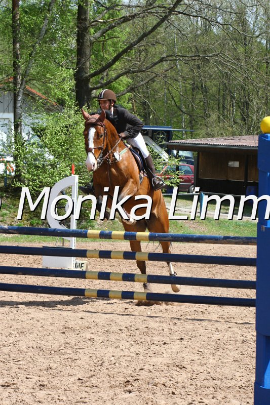 004M2219_Quiseidon_Punkte L m. Joker.JPG